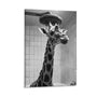 Giraffe Bathroom Wall Art, Funny Giraffe Pictures Wall Decor, Black and White Animal Canvas Prints Painting