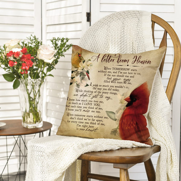 Cardinalis A Letter from Heaven Throw Pillow Covers, 18 x 18 Inch Northern Cardinal Daily Life