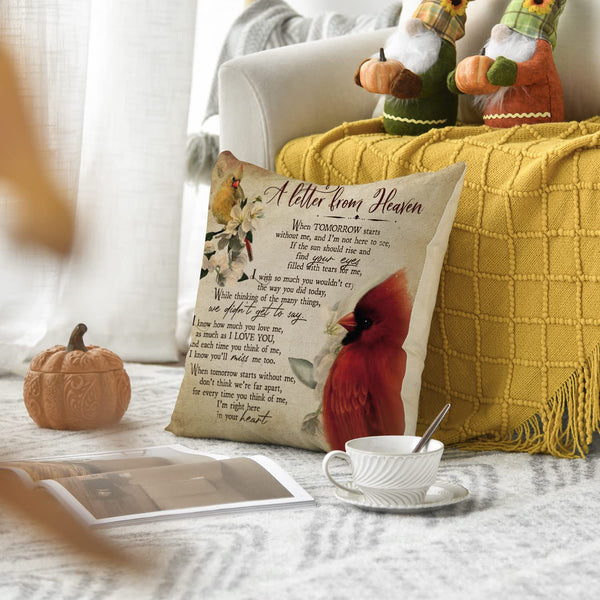 Cardinalis A Letter from Heaven Throw Pillow Covers, 18 x 18 Inch Northern Cardinal Daily Life