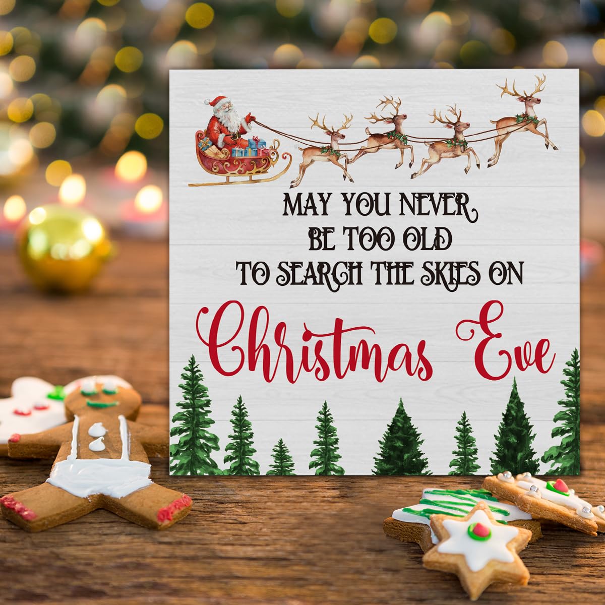 Funny Farmhouse Wooden Sign Decor - May You Never Be Too Old to Search the Skies - 5 x 5 Inch Table Shelf Christmas Decor