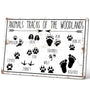 Animal Tracks of Woodland Nursery Sign, Log Cabin Decor, Forest Hunting Decor, Wildlife Wall Art for Boys Room