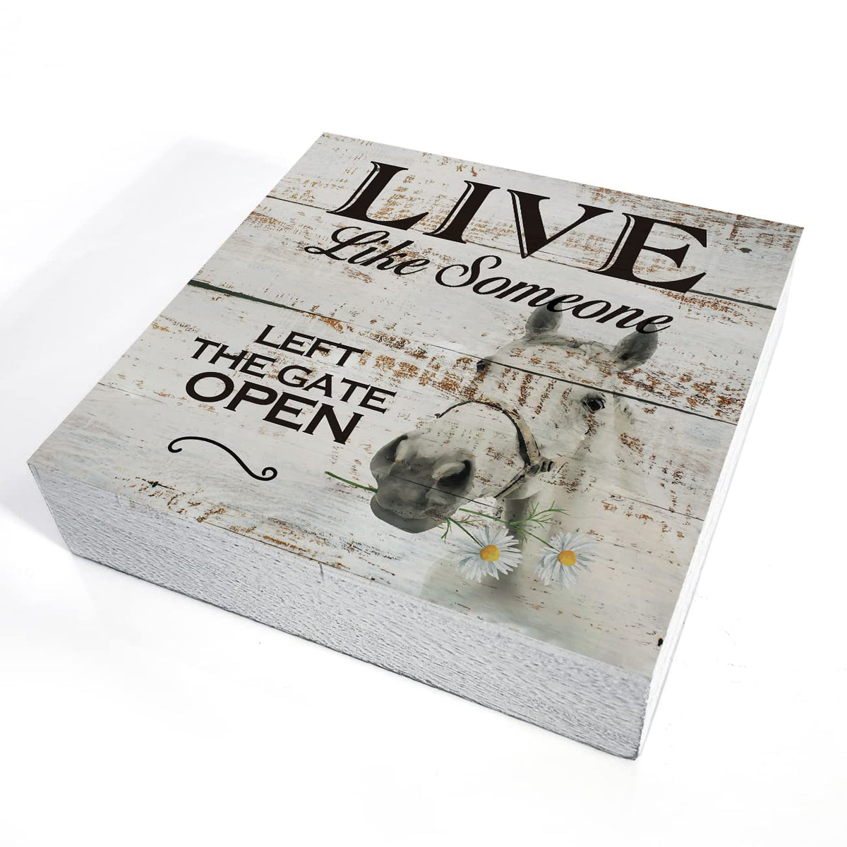 Inspirational Wooden Box Sign Desk Decor Retro Live Like Someone Horse Wood Block Plaque with Quotes