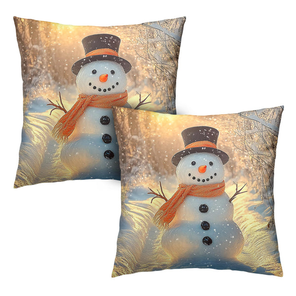 Winter Pillow Covers Snowman in The Sunshine Throw Pillow Covers 18x18 Snowflakes