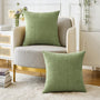 Pack of 2 Couch Throw Pillow Covers 18x18 Inch Spring Soft Sage Green