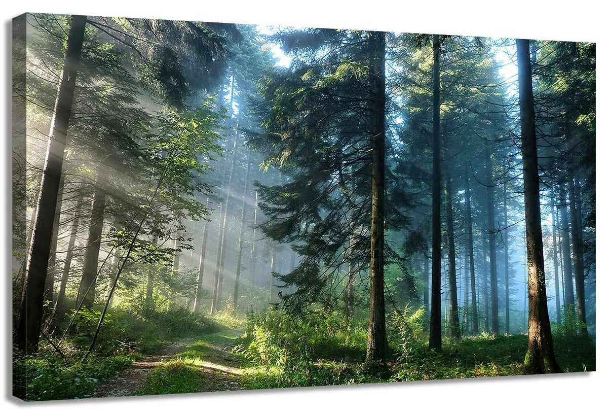Nature Tree Wall Art Canvas for Living Room, Forest Decor Aesthetic Vintage Posters 8x12 in