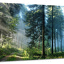 Nature Tree Wall Art Canvas for Living Room, Forest Decor Aesthetic Vintage Posters 8x12 in