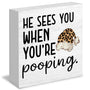 Funny Leopard Christmas Bathroom Wood Box Signs, He Sees You When You're Pooping Sign, Christmas Cheetah Print Santa Hat