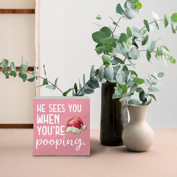 Funny Christmas Bathroom Wooden Box Signs, Christmas Funny Bathroom Decor, He Sees You When You're Pooping Pink
