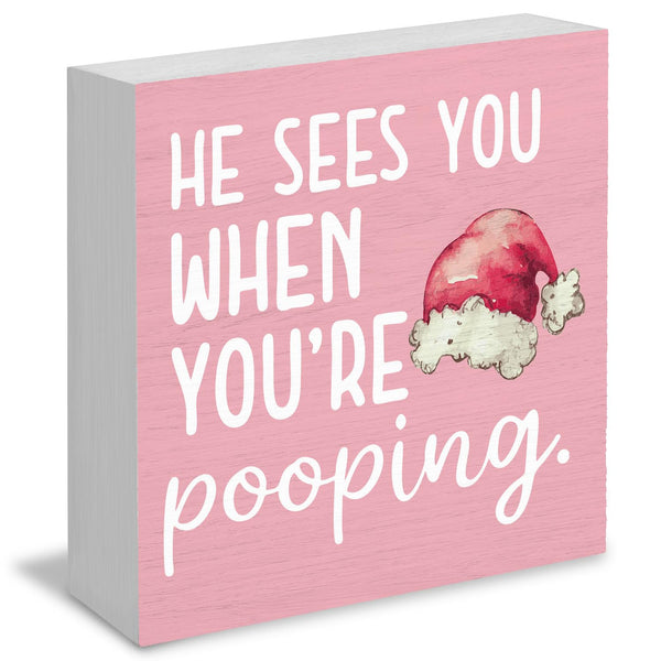 Funny Christmas Bathroom Wooden Box Signs, Christmas Funny Bathroom Decor, He Sees You When You're Pooping Pink