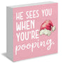 Funny Christmas Bathroom Wooden Box Signs, Christmas Funny Bathroom Decor, He Sees You When You're Pooping Pink