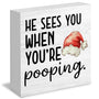 Funny Christmas Bathroom Wooden Box Signs, Christmas Bathroom Decorations, Funny Bathroom Decor