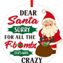 2025 Christmas Funny Ornament, Dear Santa Sorry for All The F-Bombs 2025 was Crazy Funny 2025