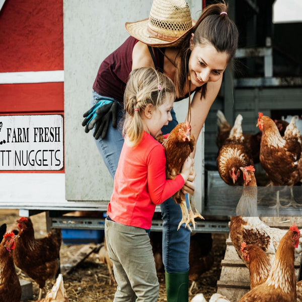 Funny Chicken Gifts Chicken Farm Fresh Butt Nuggets Tin Sign for Home Farm Chicken Coop