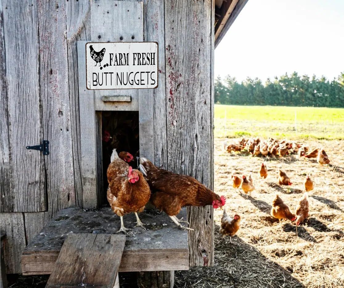 Funny Chicken Gifts Chicken Farm Fresh Butt Nuggets Tin Sign for Home Farm Chicken Coop