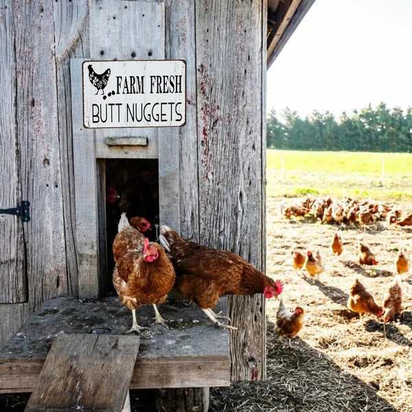 Funny Chicken Gifts Chicken Farm Fresh Butt Nuggets Tin Sign for Home Farm Chicken Coop