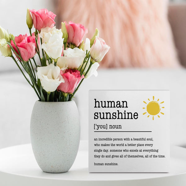 Sunshine Gifts Inspirational Office Supplies Human Sunshine Gift Decor White Wooden Box Sign