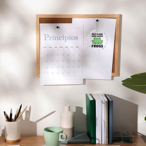 Frog Ornament Gifts for Girls Women, Just a Girl Who Loves Frogs Crystal Ornament Keepsake Decorations