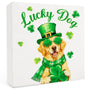 St. Patrick's Day Golden Retriever Wooden Box Sign 5x5 Inch, Golden Retriever Lover Gifts