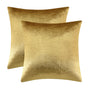 Gold Velvet Decorative Throw Pillow Covers,18x18 Pillow Covers for Couch Sofa Bed 2 Pack Soft Cushion Covers