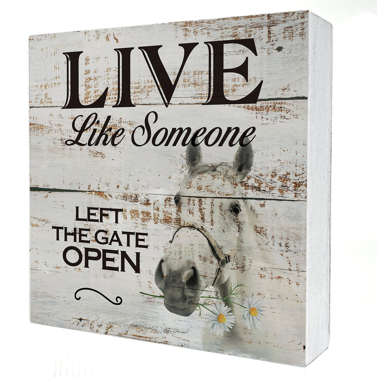Inspirational Wooden Box Sign Desk Decor Retro Live Like Someone Horse Wood Block Plaque with Quotes